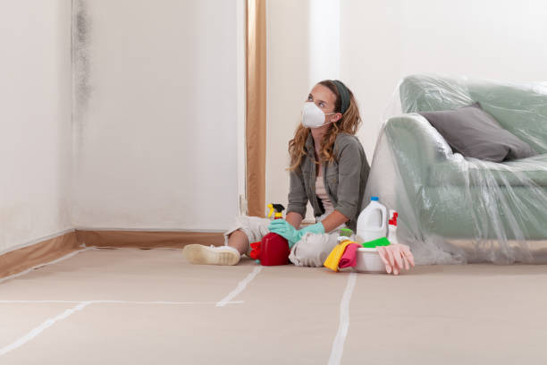 Reliable Basement Mold Remediation contractor in Annandale, NJ by Mold Remediation HQ